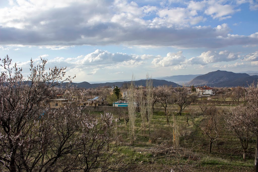 Hacepli civarından Hacılar bağları (Kayseri) by ismail38_1903