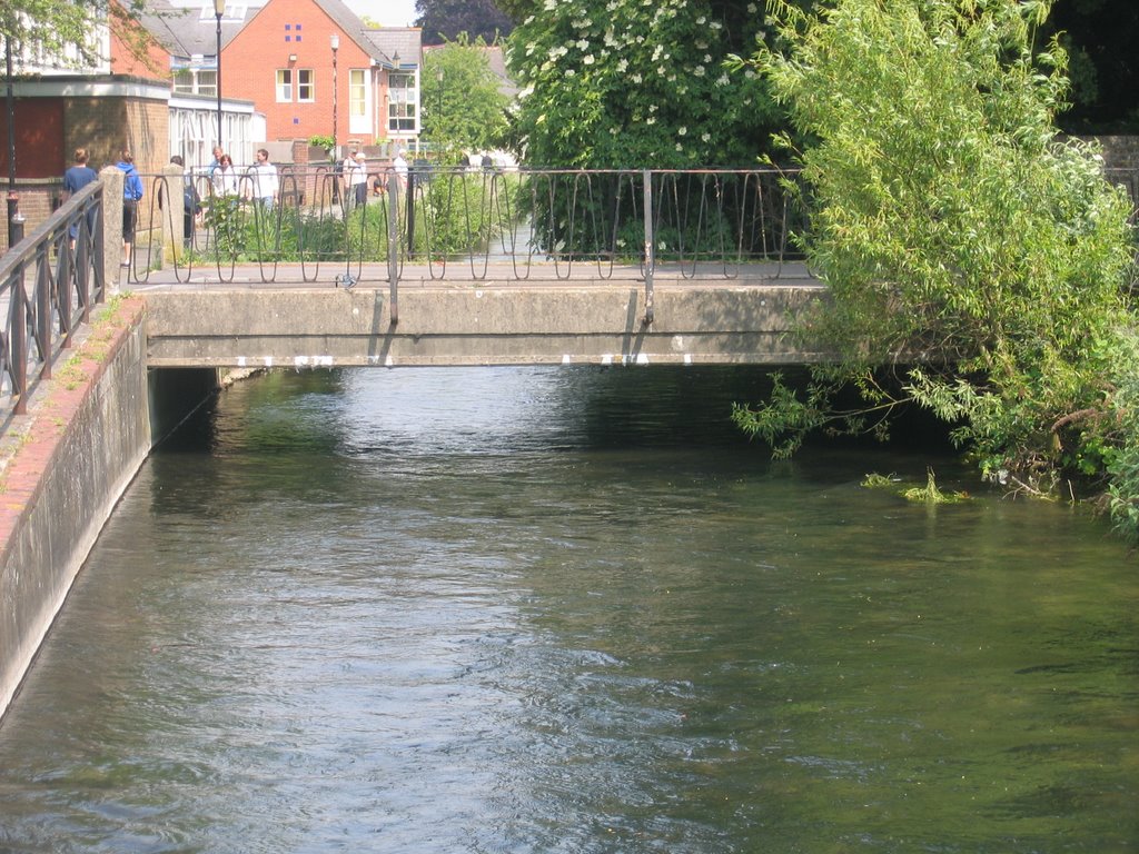 Avon Approach Bridge by Richard Avery