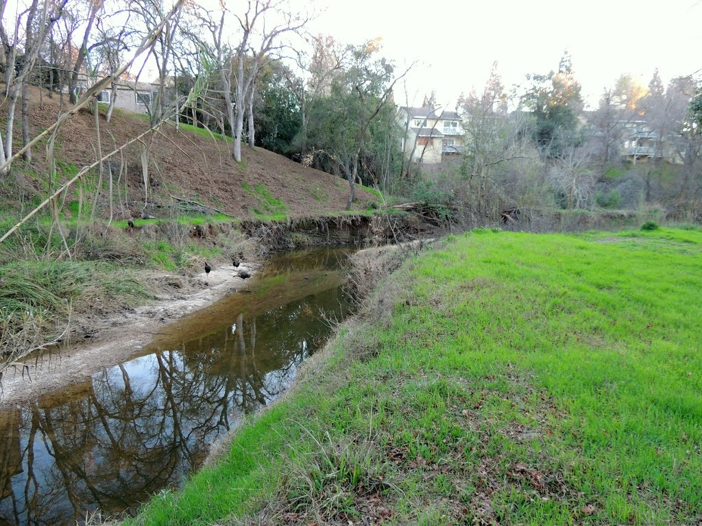 Cirby Creek Park Meadow by Steve Schmorleitz, NationalParkLover.com