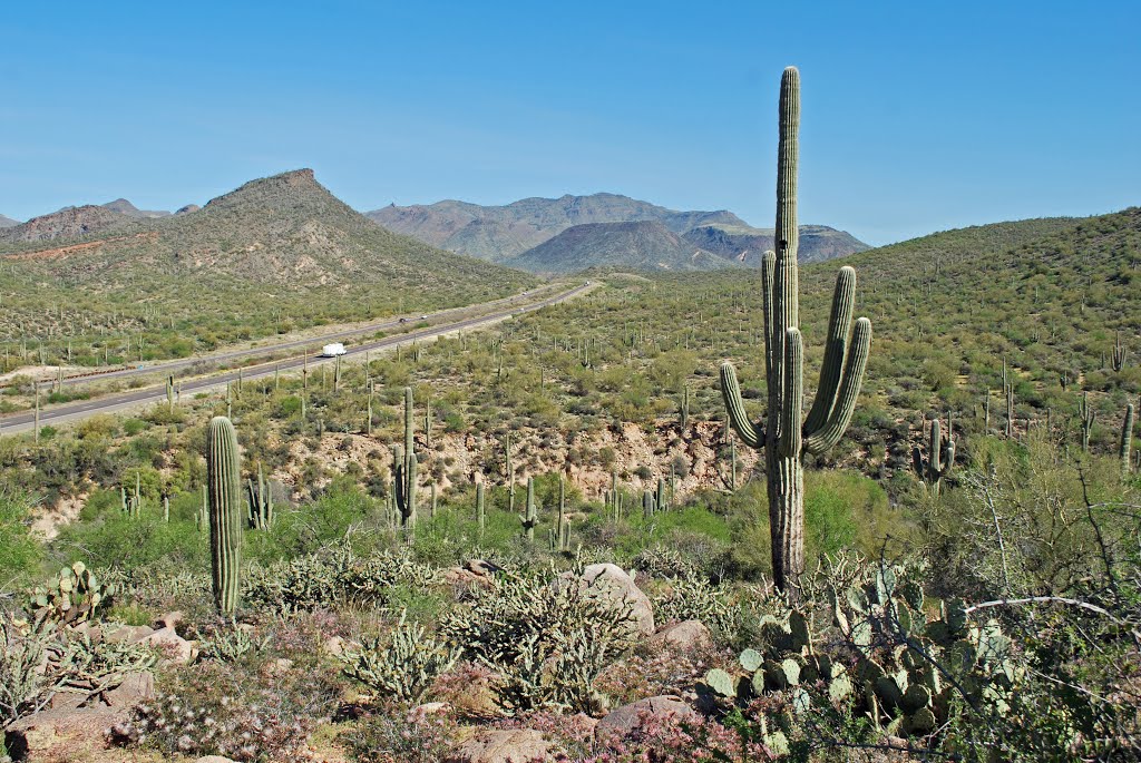 Pine Creek Trail, Tonto National Forest, AZ by bobbudi