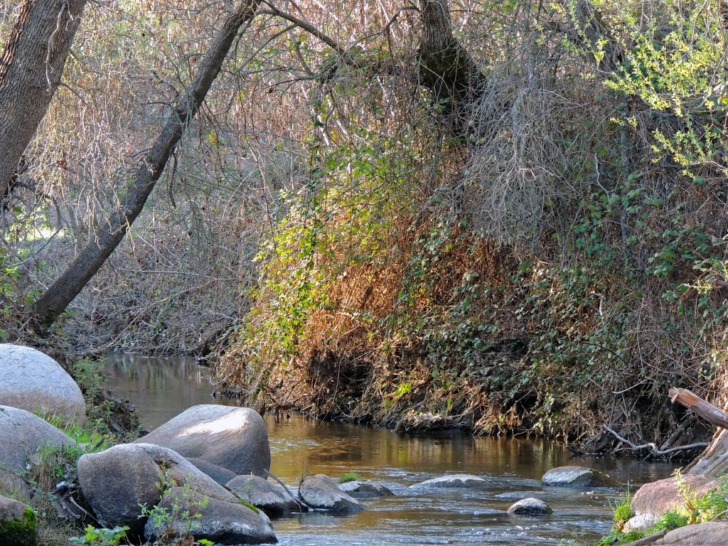 Granite and Water - Miners Ravine Creek, Granite Bay by Steve Schmorleitz, NationalParkLover.com