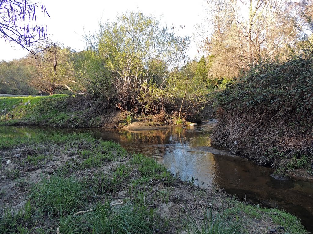 Miners Ravine Creek, Granite Bay by Steve Schmorleitz, NationalParkLover.com