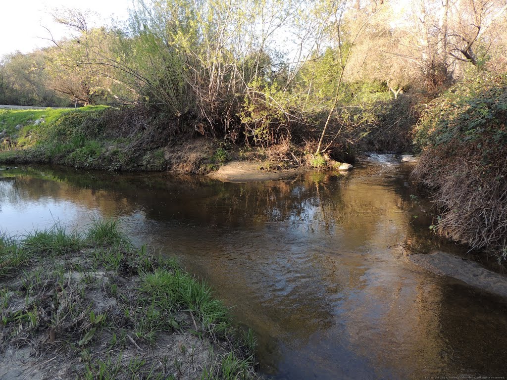 Miners Ravine Creek by Steve Schmorleitz, NationalParkLover.com