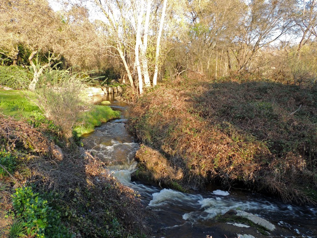 Rapids, Miners Ravine Creek, Granite Bay by Steve Schmorleitz, NationalParkLover.com