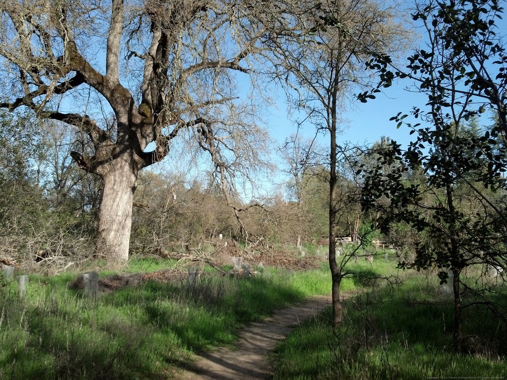 Miners Ravine Reserve by Steve Schmorleitz, NationalParkLover.com