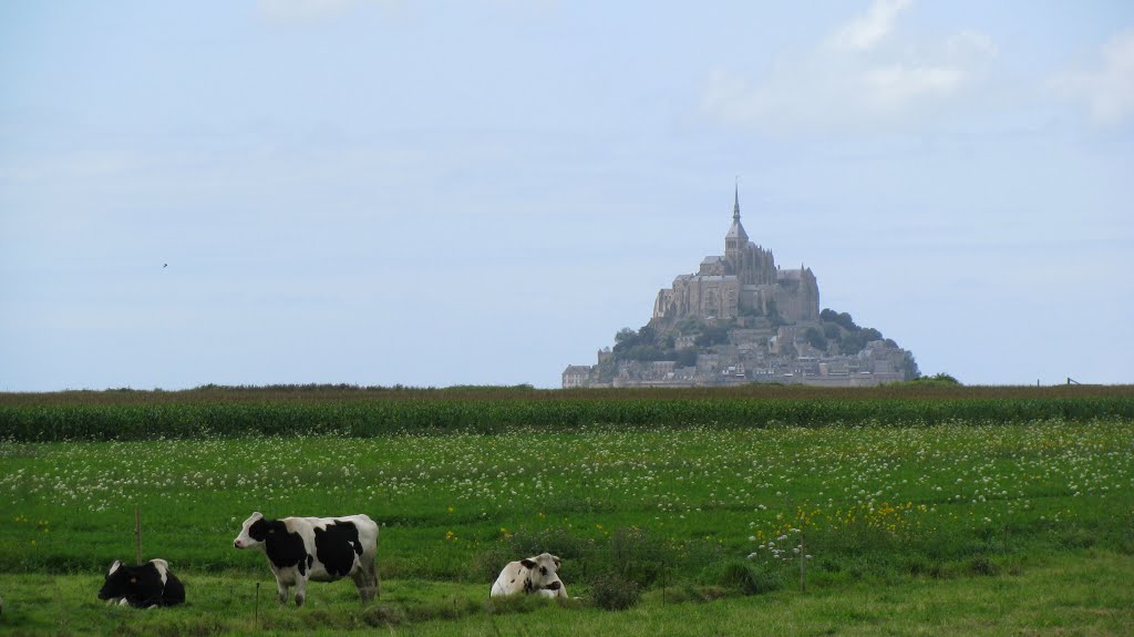 Le Mont Saint Michel by jako72