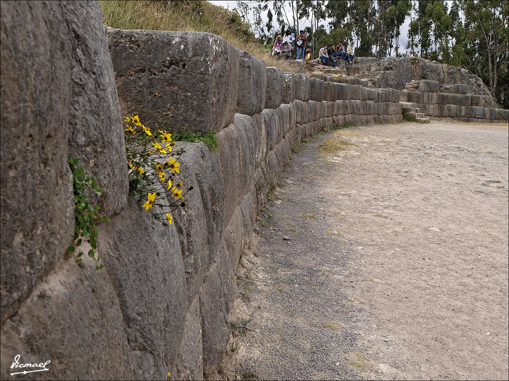 080428-103 CUSCO. QENQO by VICMAEL