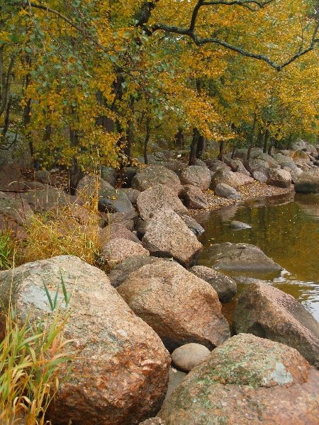 Vyborgsky District, Leningrad Oblast, Russia by Andrey Litov