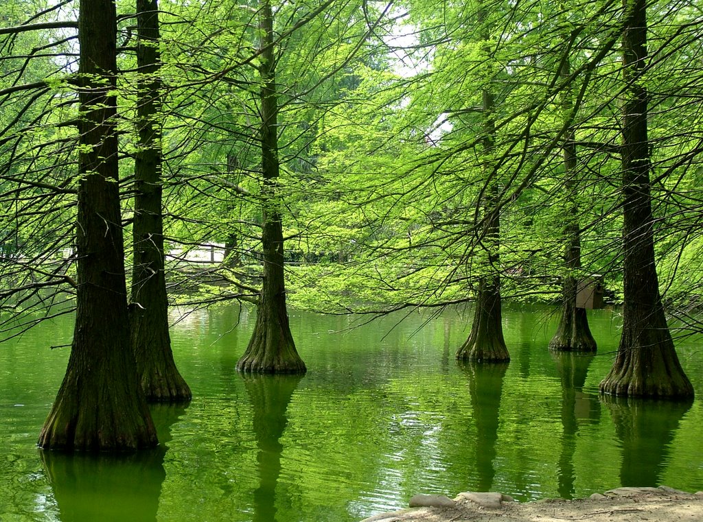 Parco dei Laghetti Faenza by Massimo Scali