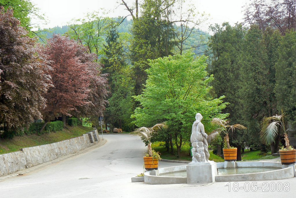 Park Zdrojowy Szczawnica by Marian Kwaśny