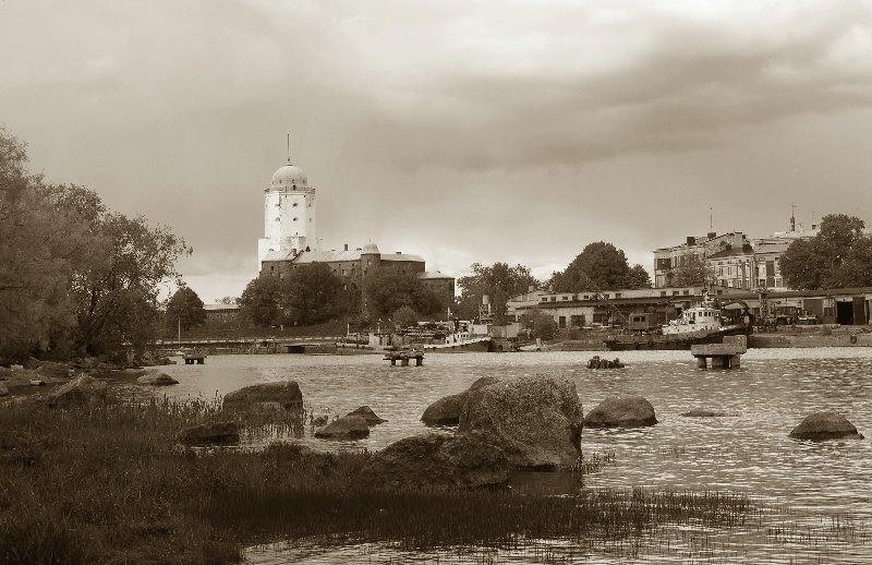 Vyborg, Leningrad Oblast, Russia by Andrey Litov