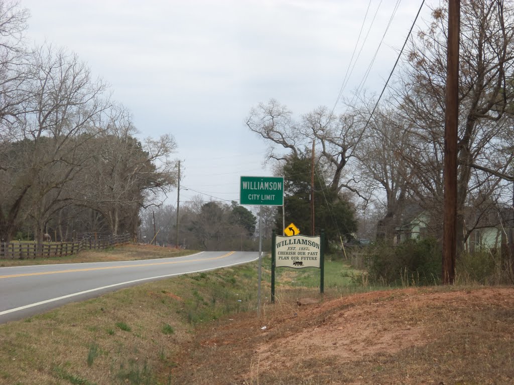 Williamson City Limit, GA 362 NE by mriveraz