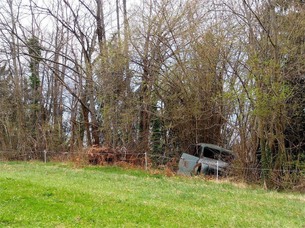 Wreck Car by Little Big Sheep.