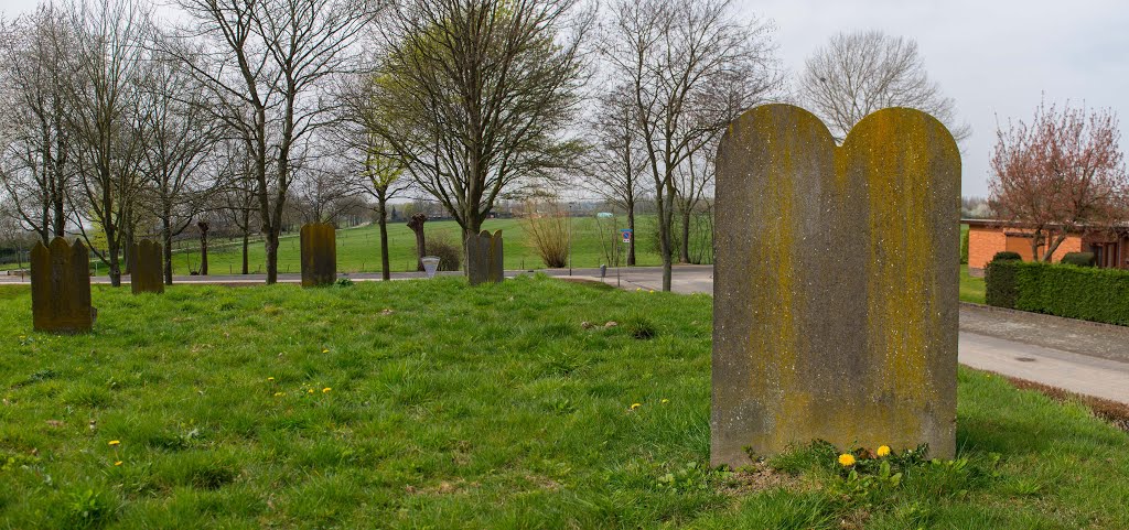 De Jodenberg,oude Joodse begraafplaats Grevenbicht,Nederland by Henri Van Ham