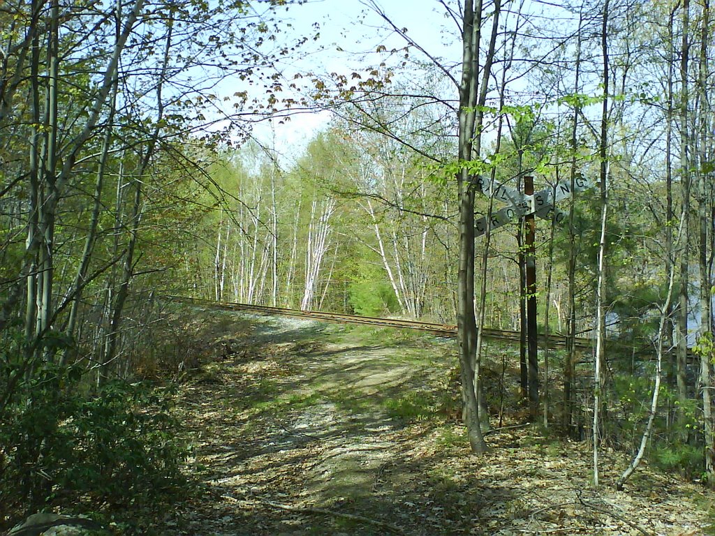 Old Mill Road by Brian Kennedy