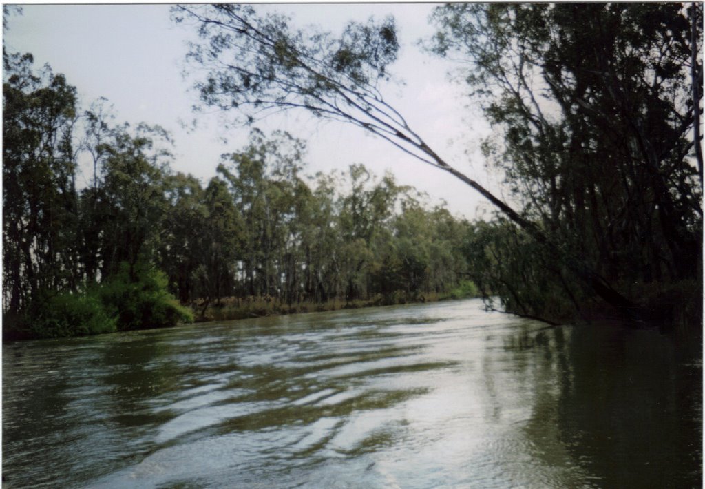 Murray River-Barmah State Park by eliot_garvin