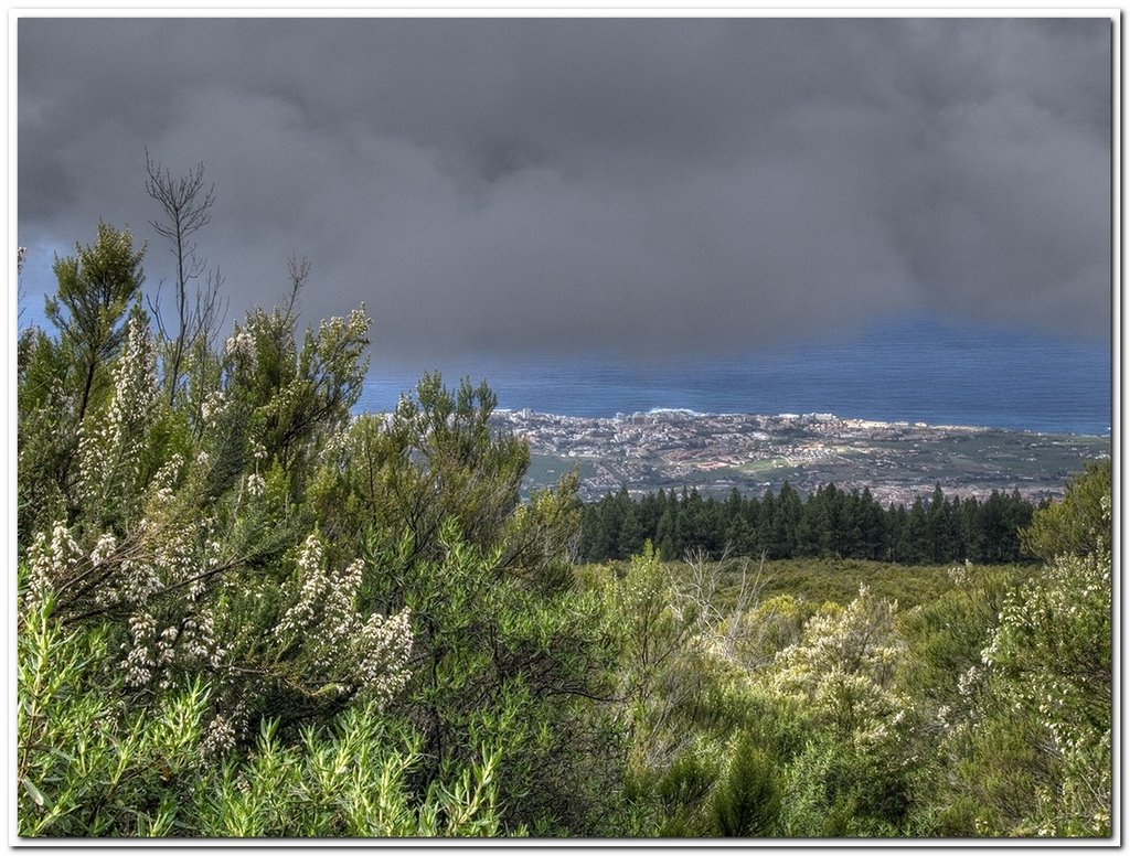 Entre flores y nubes by Carlos Serrano