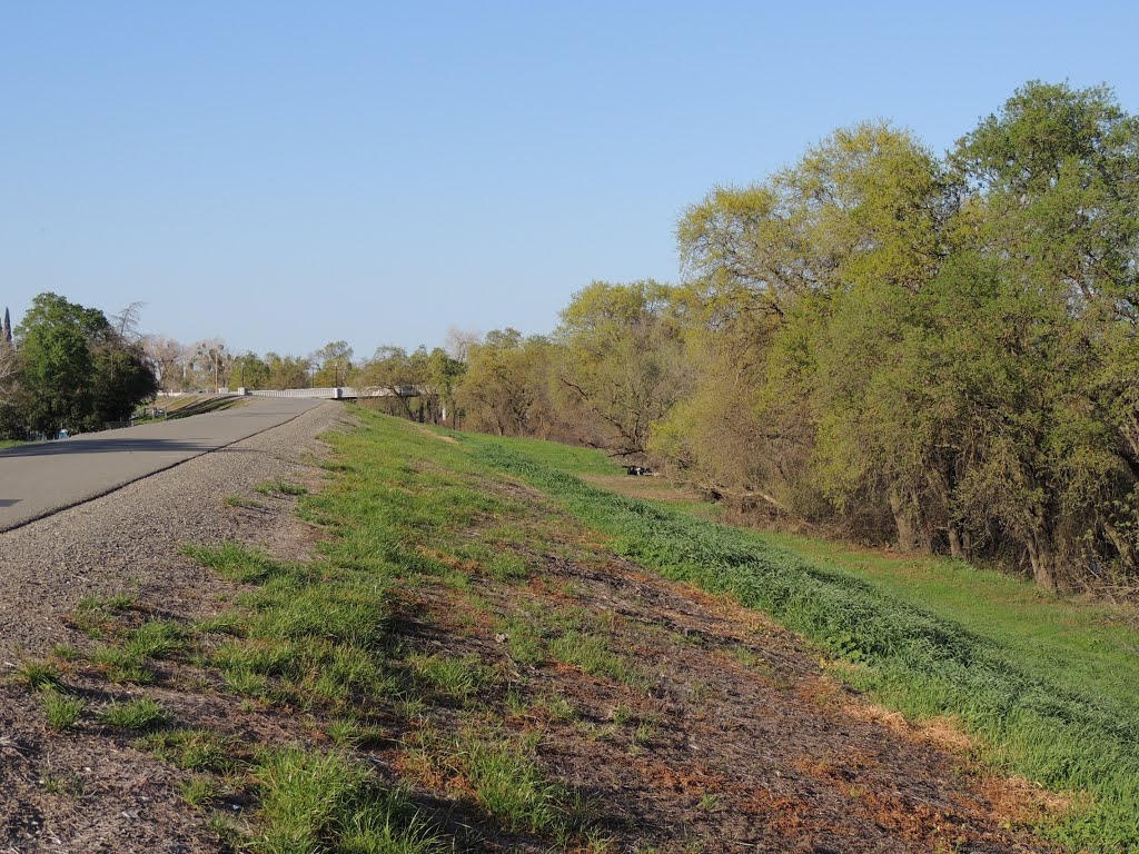 Steelhead Creek Levee by Steve Schmorleitz, NationalParkLover.com