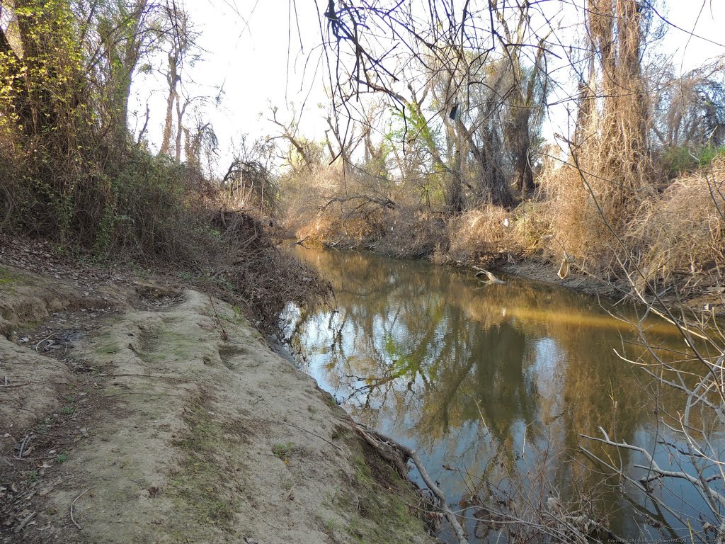 Steelhead Creek Bank by Steve Schmorleitz, NationalParkLover.com