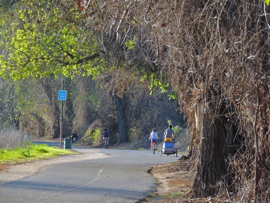 American River Bike Trail along Steelhead Creek by Steve Schmorleitz, NationalParkLover.com