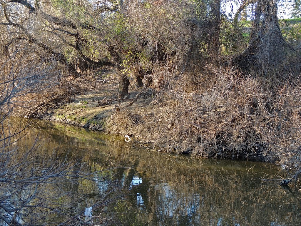 Steelhead Creek by Steve Schmorleitz, NationalParkLover.com