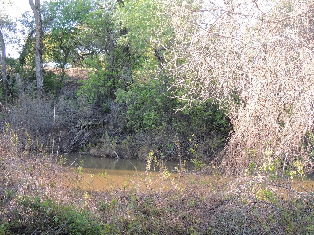 Steelhead Creek by Steve Schmorleitz, NationalParkLover.com