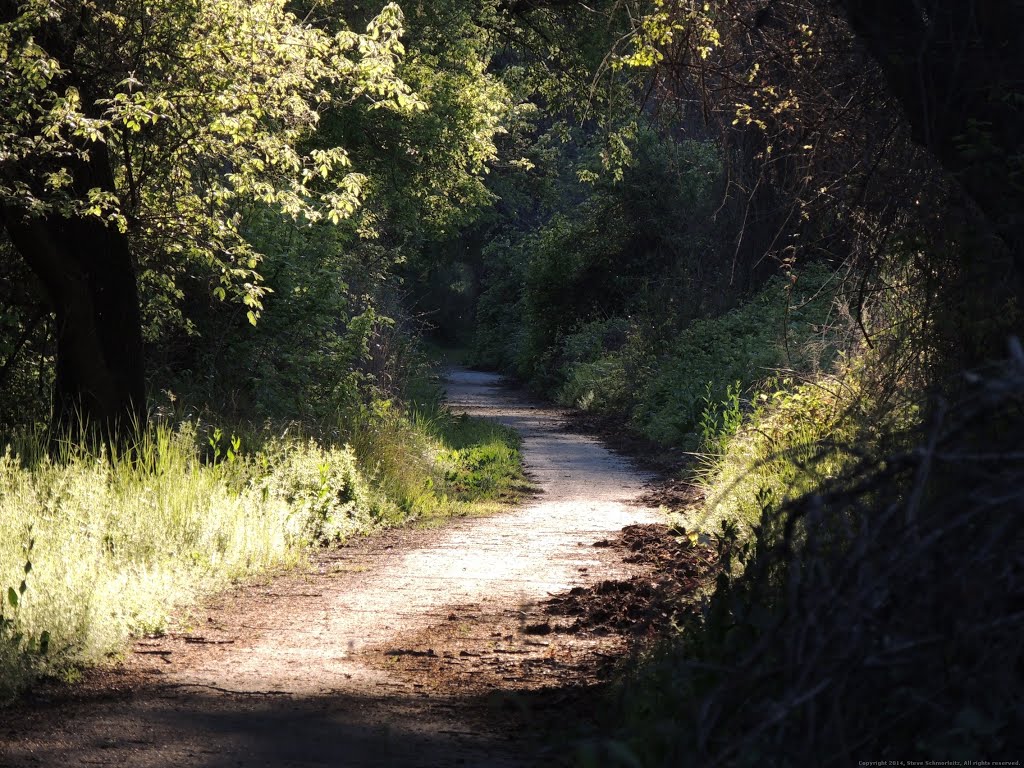 Path through the woods by Steve Schmorleitz, NationalParkLover.com