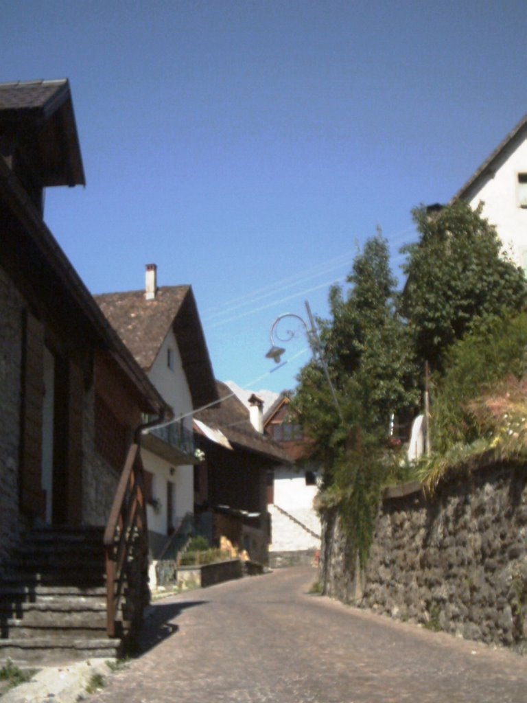 Osais di Prato Carnico - Strada in pavè by andrecale1982