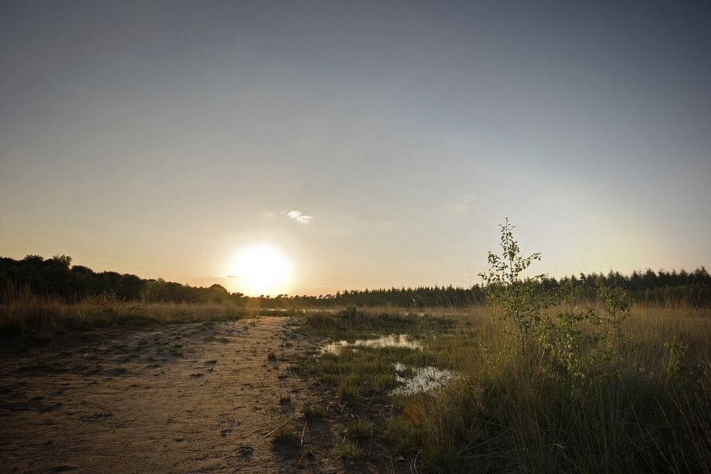 Sunset, Buntven, Zandbosch, Deurne by Wim Janssen