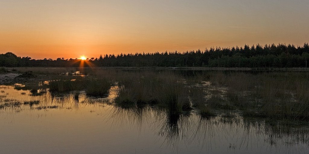 Sunset, Buntven, Zandbosch, Deurne by Wim Janssen