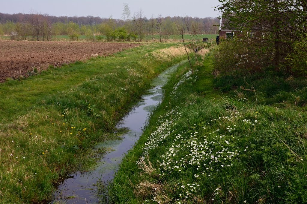 Leerinkbeek by Jan Visser