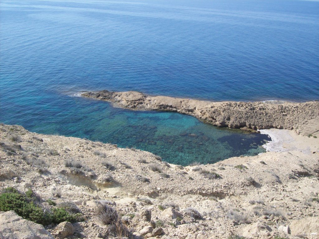 Sharks Cove by beanfarm