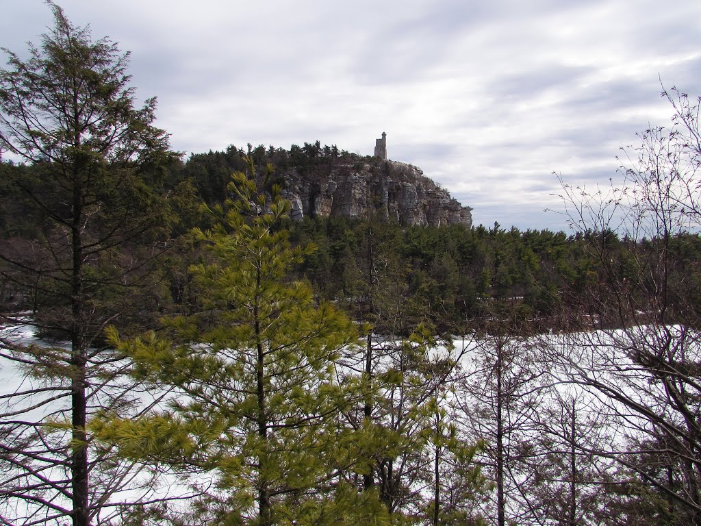 Hemlock & Pine on Eagle Cliff Trail by Chris Sanfino