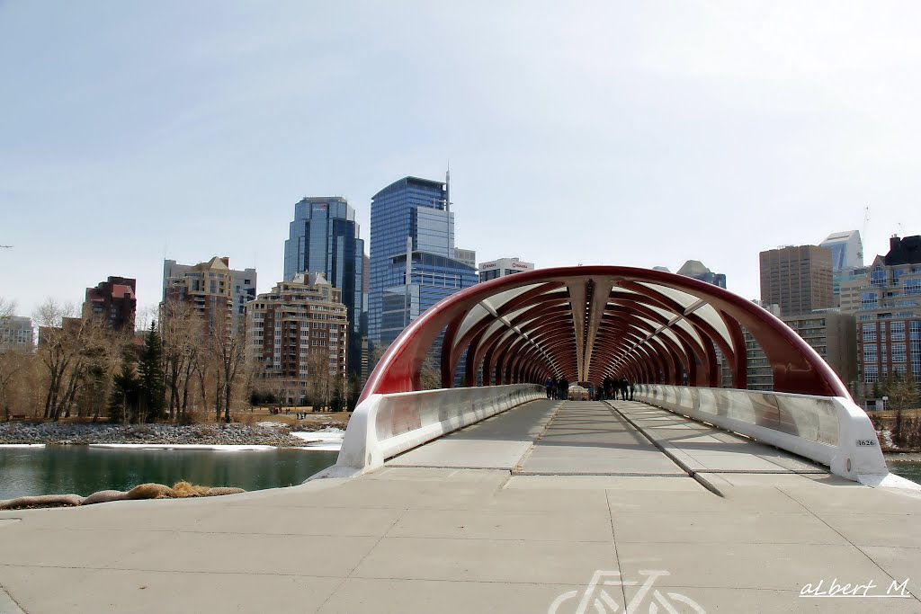 Peace Bridge.. by albertLM