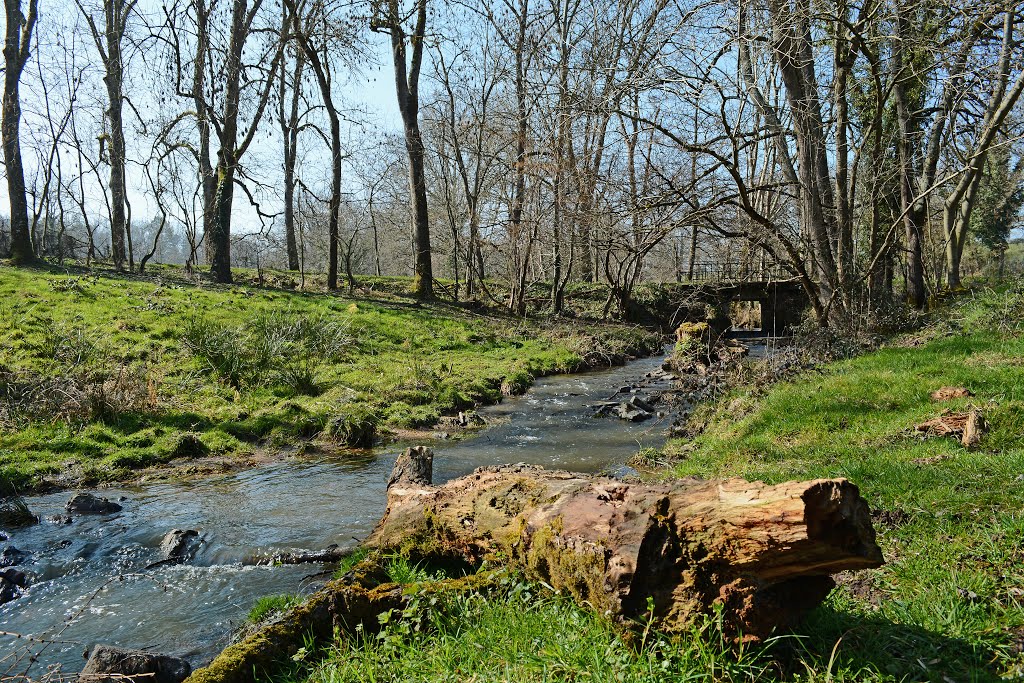 L'OURS rivière Allier, bocage Autry -Issards. by Gérard JOYON