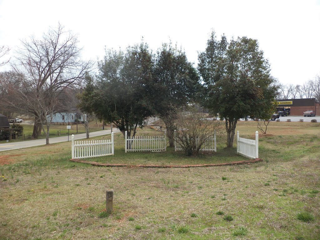 Trees on GA 362, Williamson by mriveraz