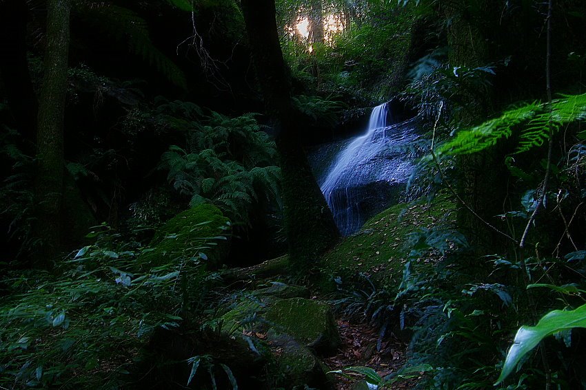 Mount Wilson NSW 2786, Australia by paul sikora