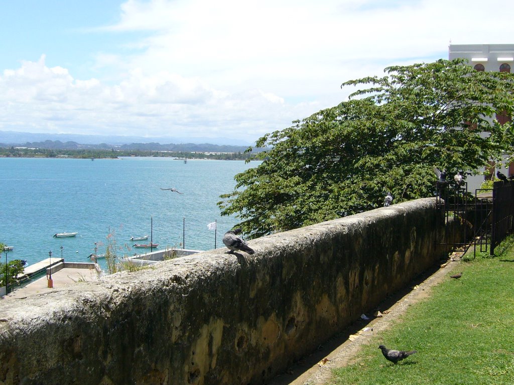 Parque de las Palomas by KEwind