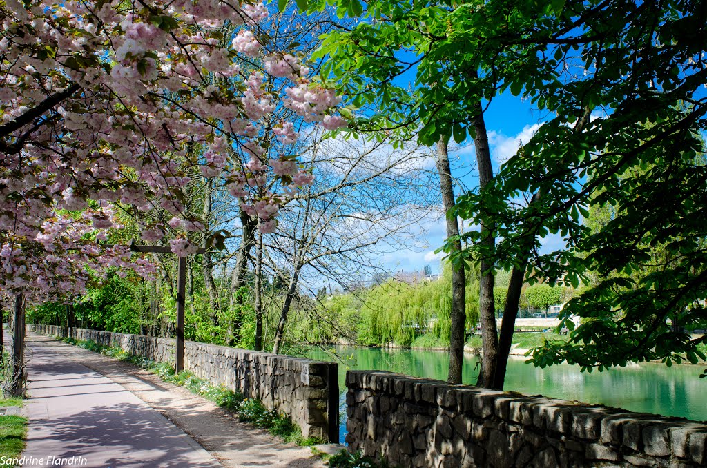 Bords de Marne by Christophe Flandrin