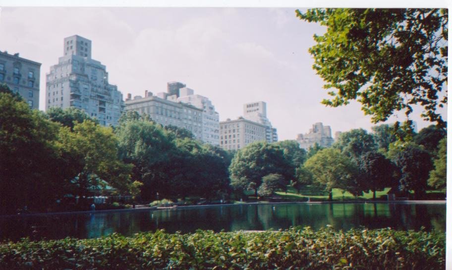 Central park by Anthony s