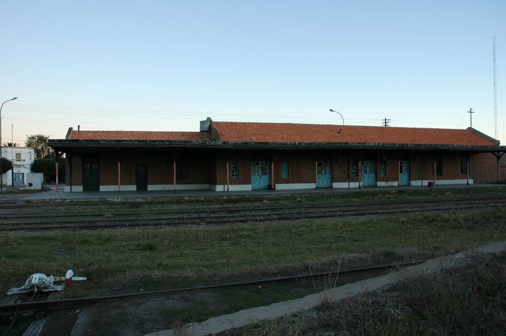 Estacion bi-trocha de Carhue by panofotoarg