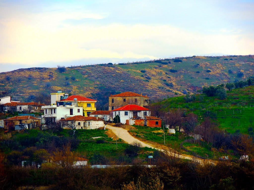 Shqipëria: Gosë e Madhë... by Sofjan Kotorri