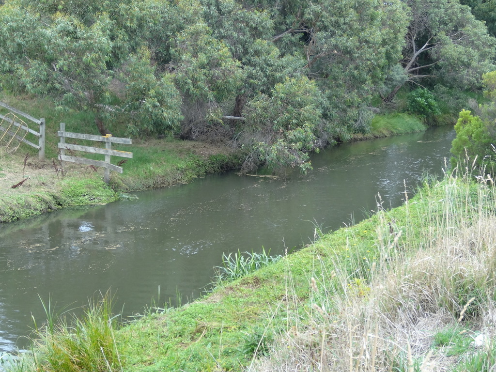 Merri River, Warrnambool by Warwick A Sellens