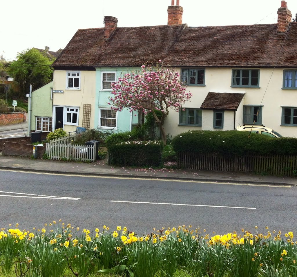 Some houses near Holy Trinity Church by Tendarum