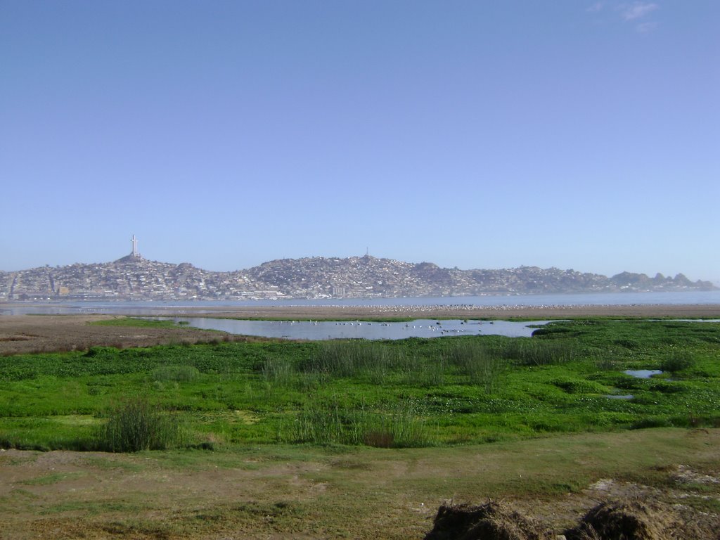 Bahia de Coquimbo by JFLOWER