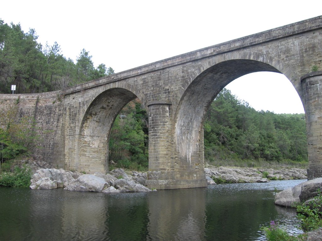 Pont sur Le Chassezac (Graviéres) by stratmatt