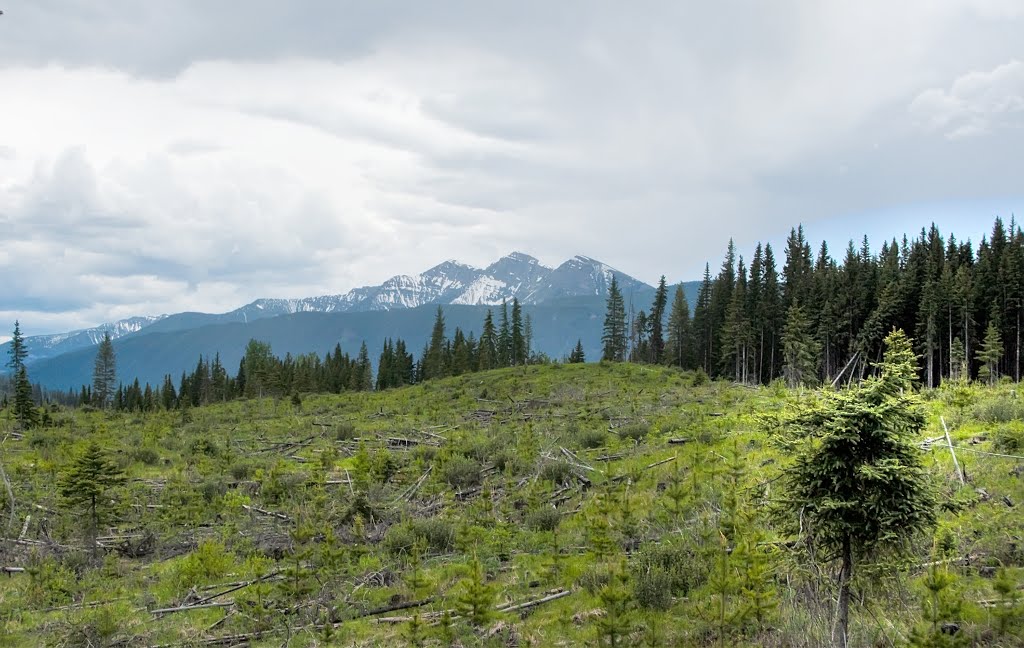 Rocky Mountains by justast