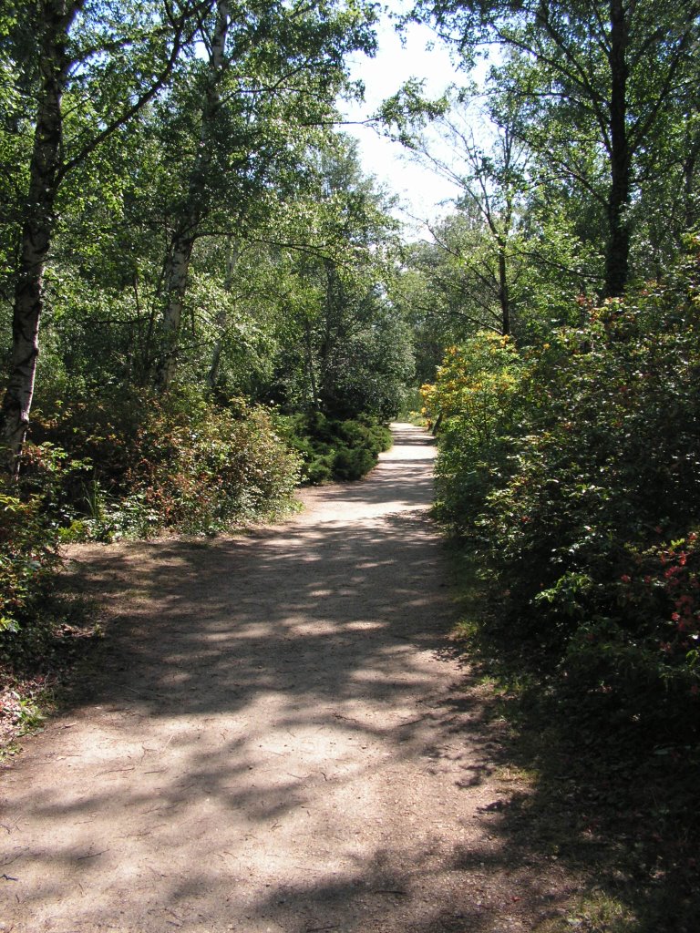 Hungary, Jeli arborétum, SzG3 by Gábor Szalay