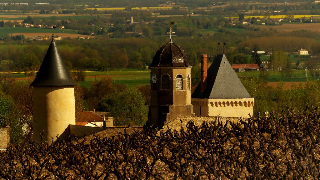 Saint-Lager by Fernand Serpol