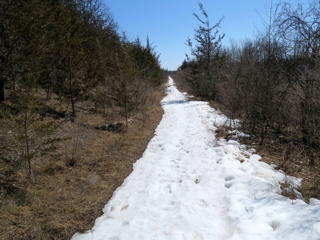 CN spur line to the Canada Cement quarry at Point Anne, now abandoned, looking SE. by Steve Manders